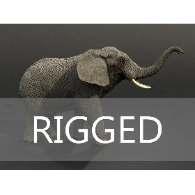 Elephant Rigged
